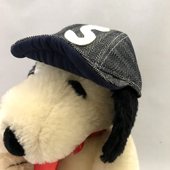 Snoopy's CAP